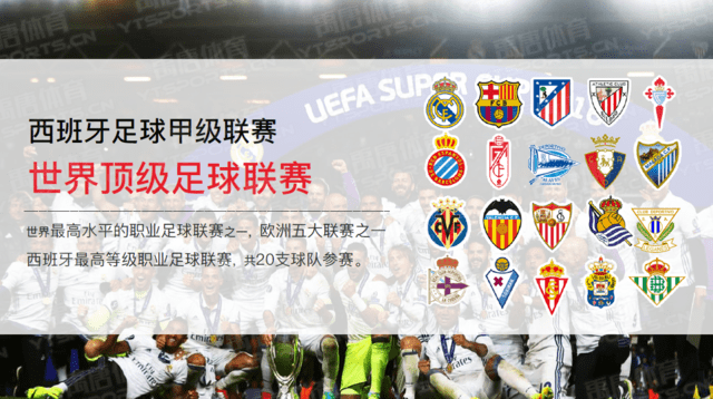 综合体育门户实时资讯发布 国内外体育动态一站获取